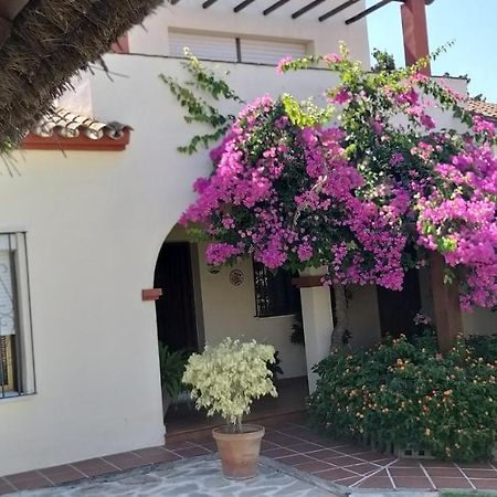 Casa Chalet Las Camelias ロス・バリオス エクステリア 写真
