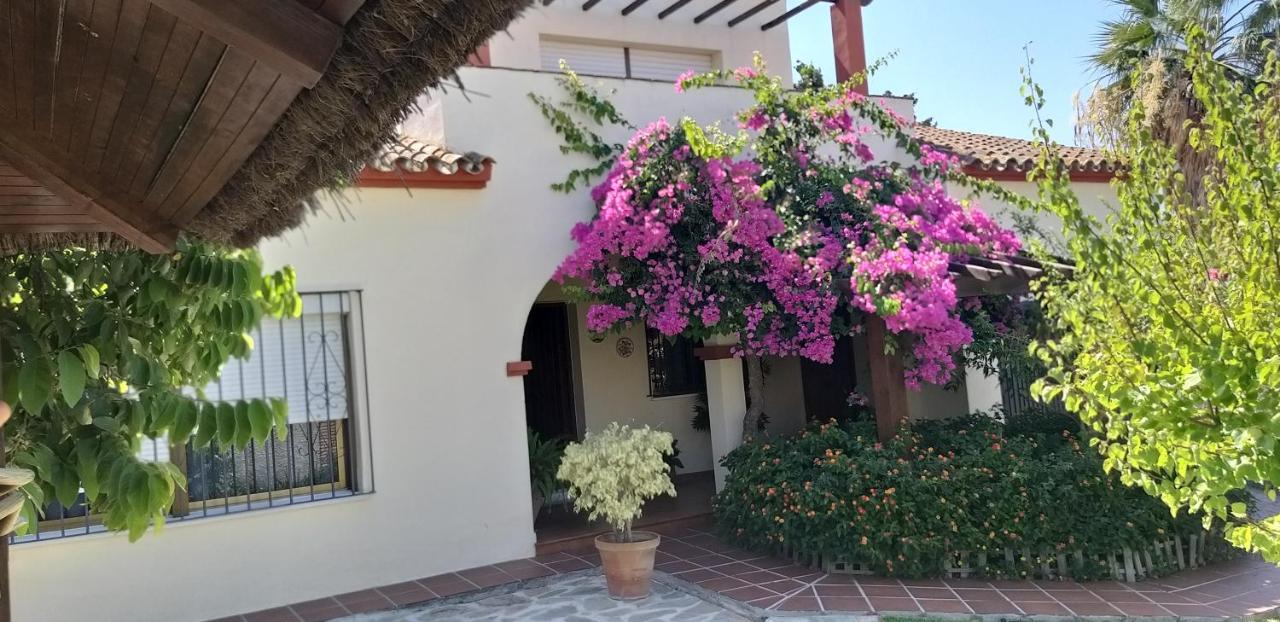 Casa Chalet Las Camelias ロス・バリオス エクステリア 写真
